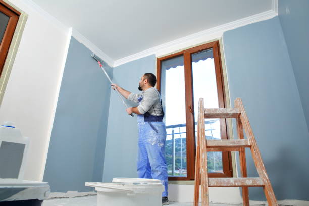 Professional Mold Removal in Southside Place, TX